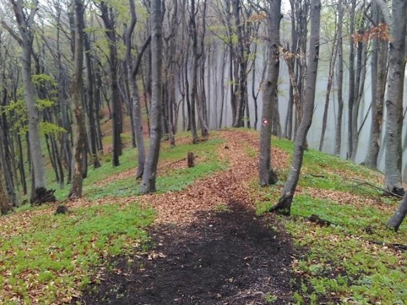 
 Samoborsko gorje - najava
