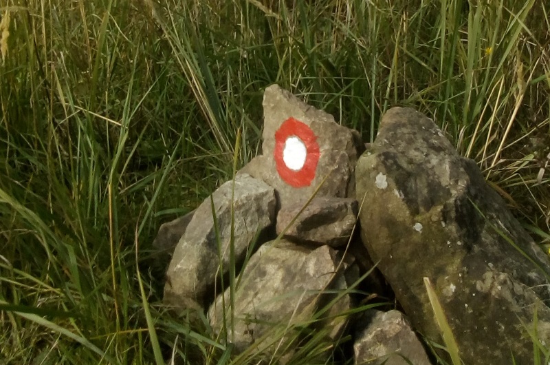 
 Staza psunjske samostalne satnije
