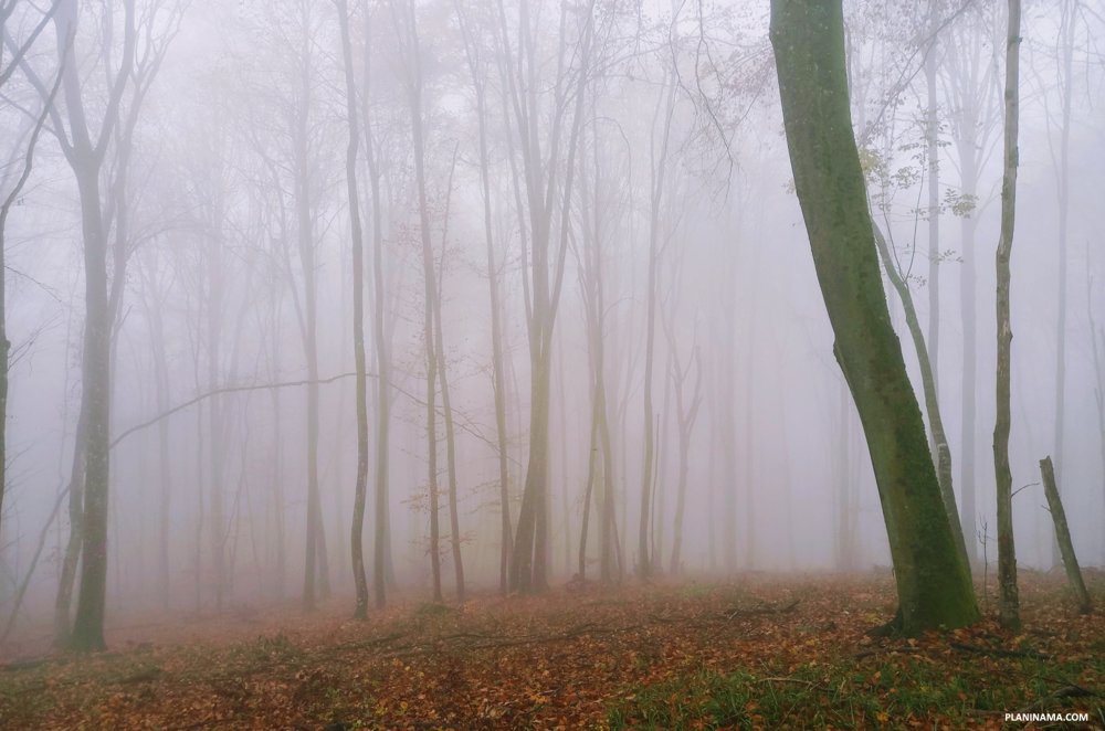 Jesen stiže Lunjo moja
