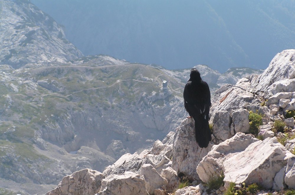 
 Izlet na Grintovec - najava
