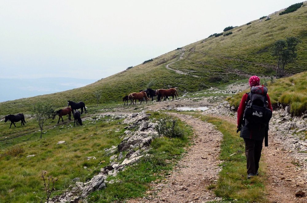 
 Jesenski izlet - najava
