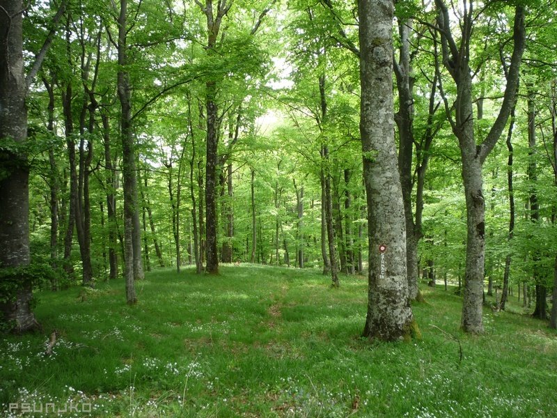 
 Izvor Orljave - najava
