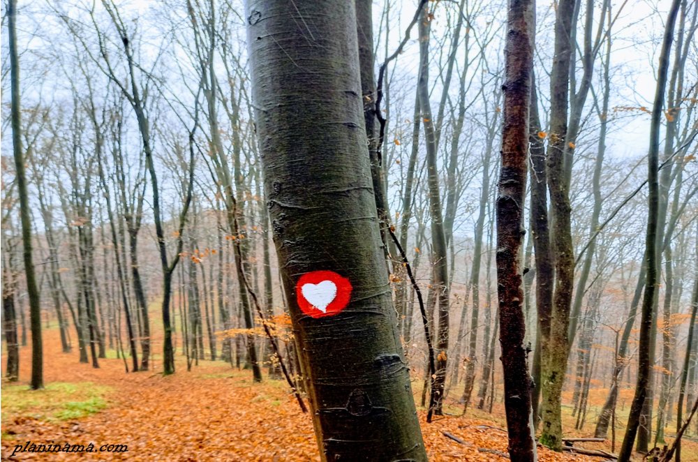 
 10. pohod na Kapavac - najava
