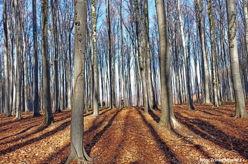 10. jubilarni pohod na Kapavac