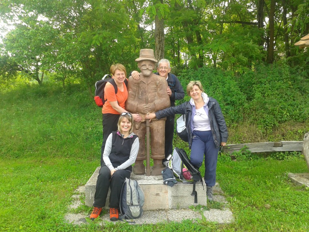 Maksimov hrast iz Zakorenja