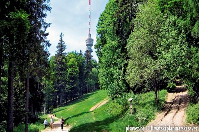 
 Jednodnevni izlet na Medvednicu
