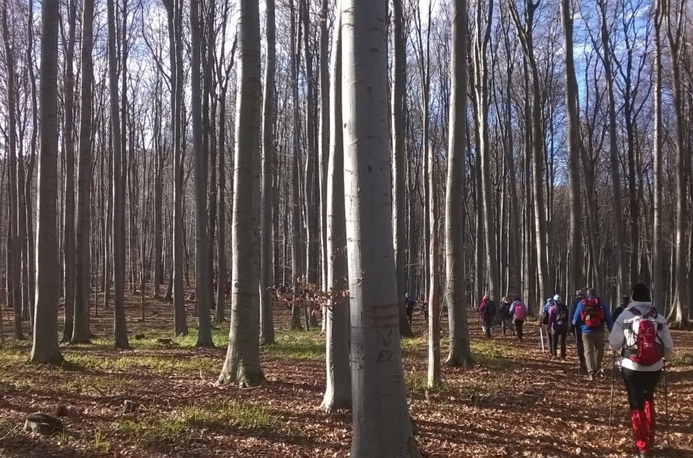 Nepoznati Papuk 2018