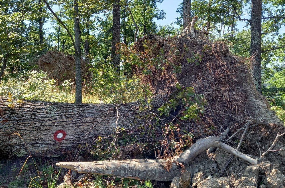 
 Posljedice nevremena na pl. stazama
