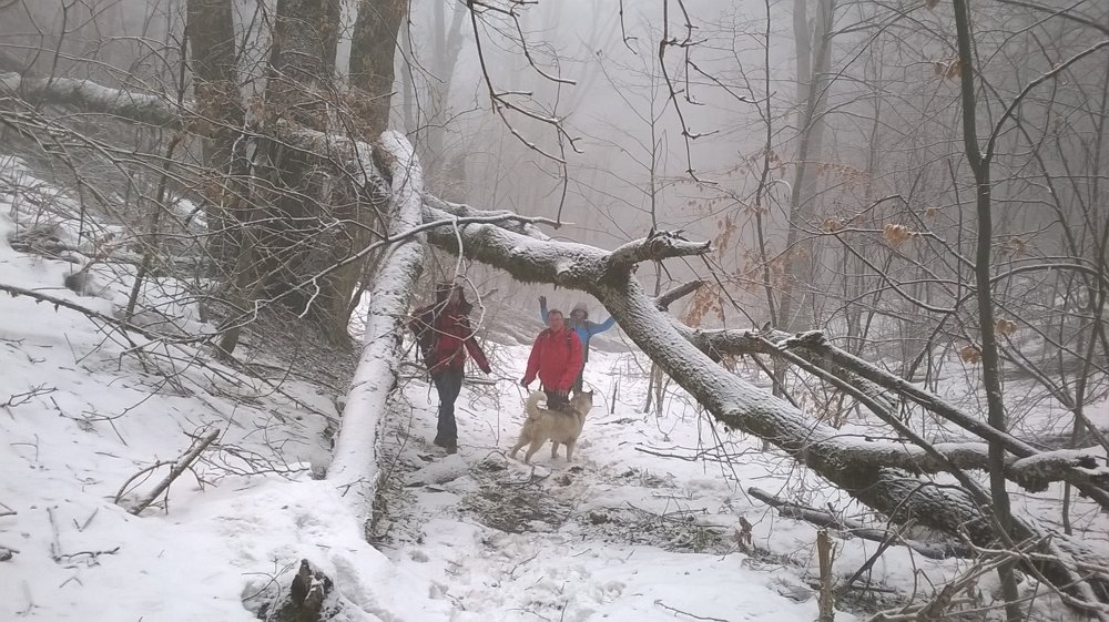 Zimska priča o Papučkim jaglacima