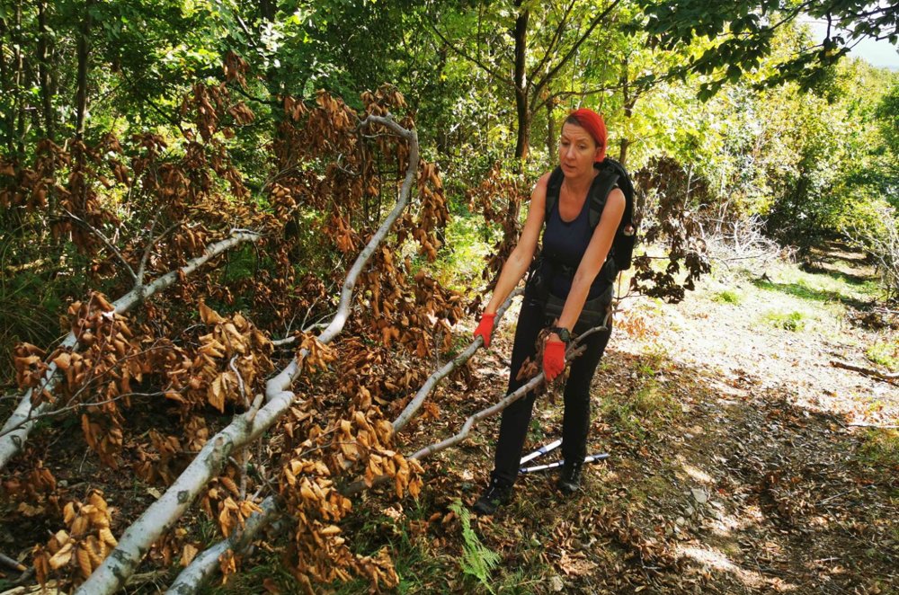 
 1. markacistička akcija solidarnosti
