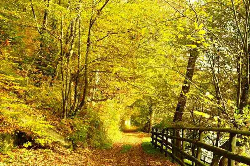 8. pohod na najviši vrh Slavonije