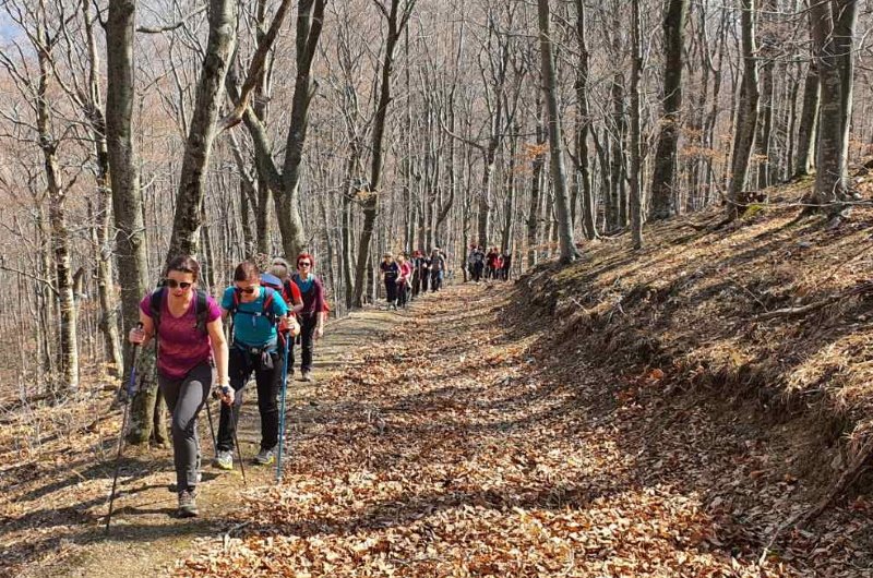 
 1. izlet IV. pl. škole - Psunj
