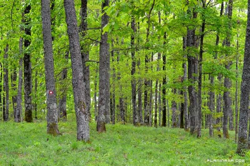 
 Pohod slavonskim planinama
