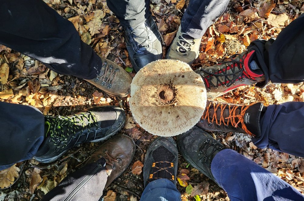 Stazom psunjske satnije