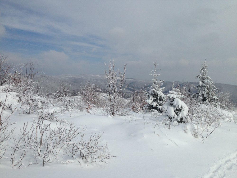
 Zimski uspon na Brezovo polje
